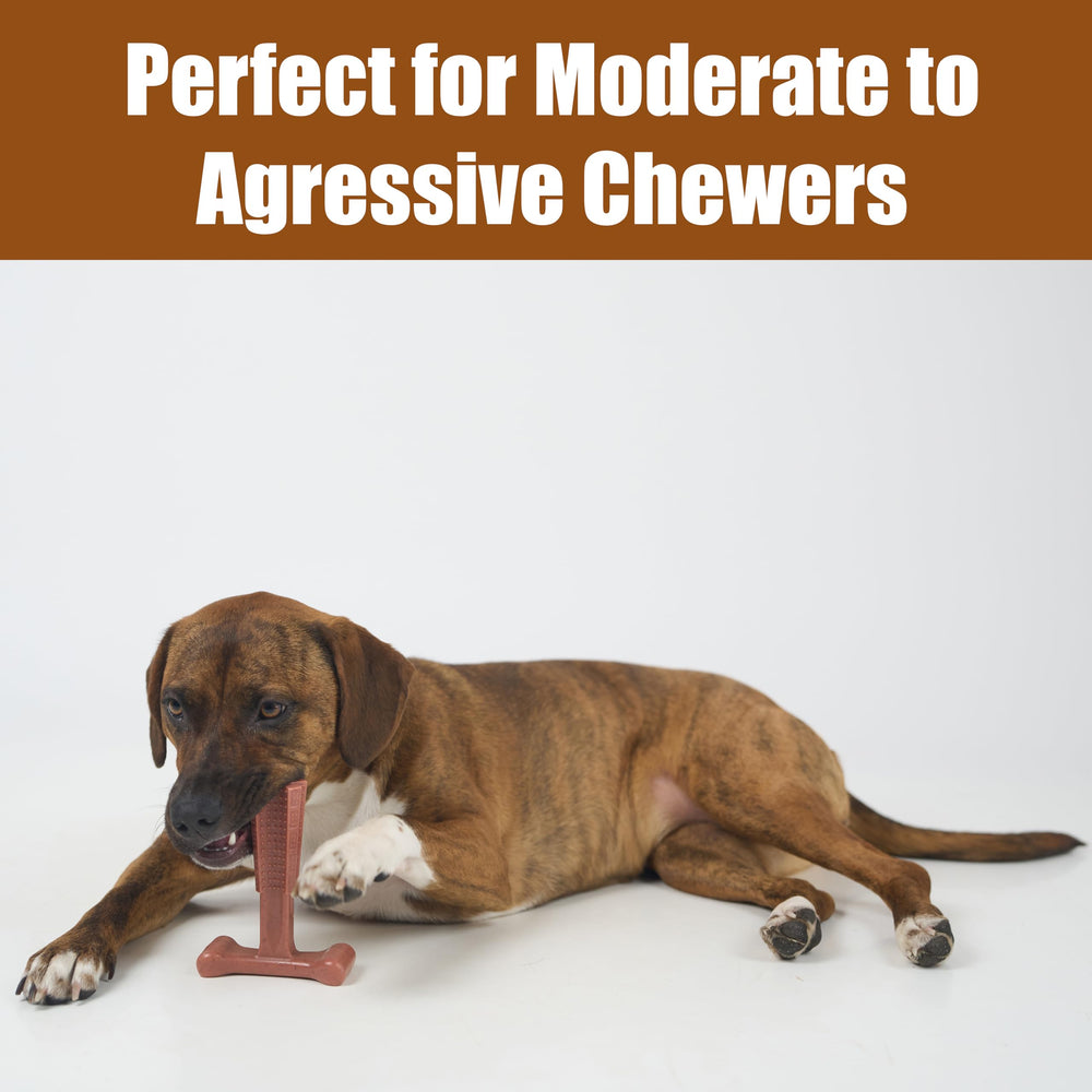 SPOT Bam-Bones Plus T-Bone for-teething-puppies supports soothing chewing during teething.