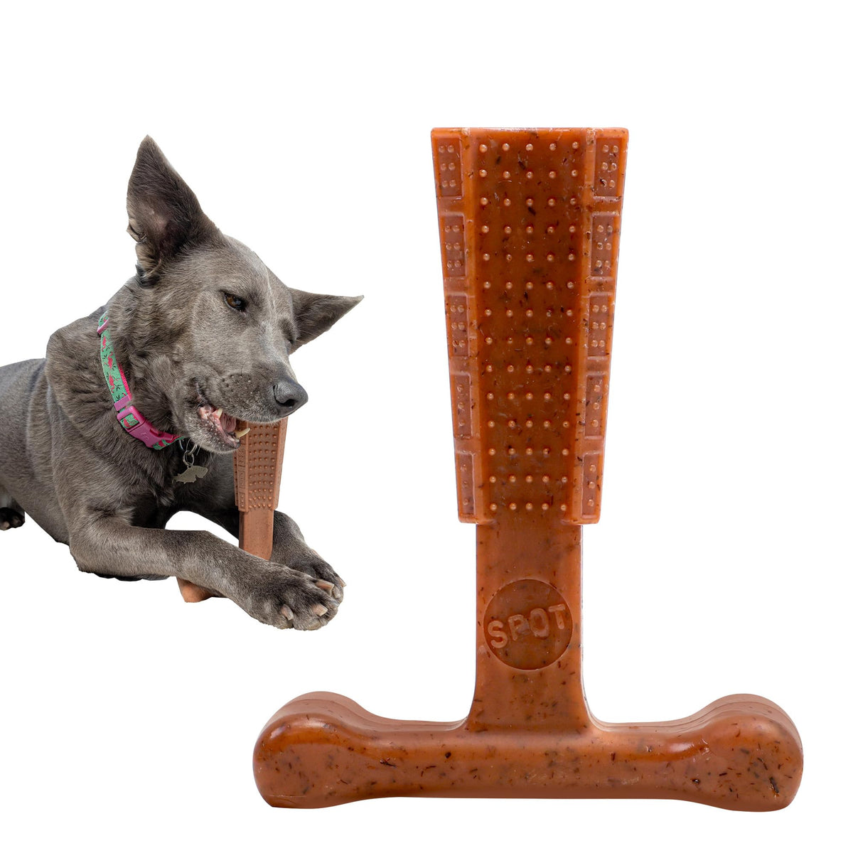 SPOT Bam-Bones Plus T-Bone main view shows durable chew toy for strong chewers and teething puppies.