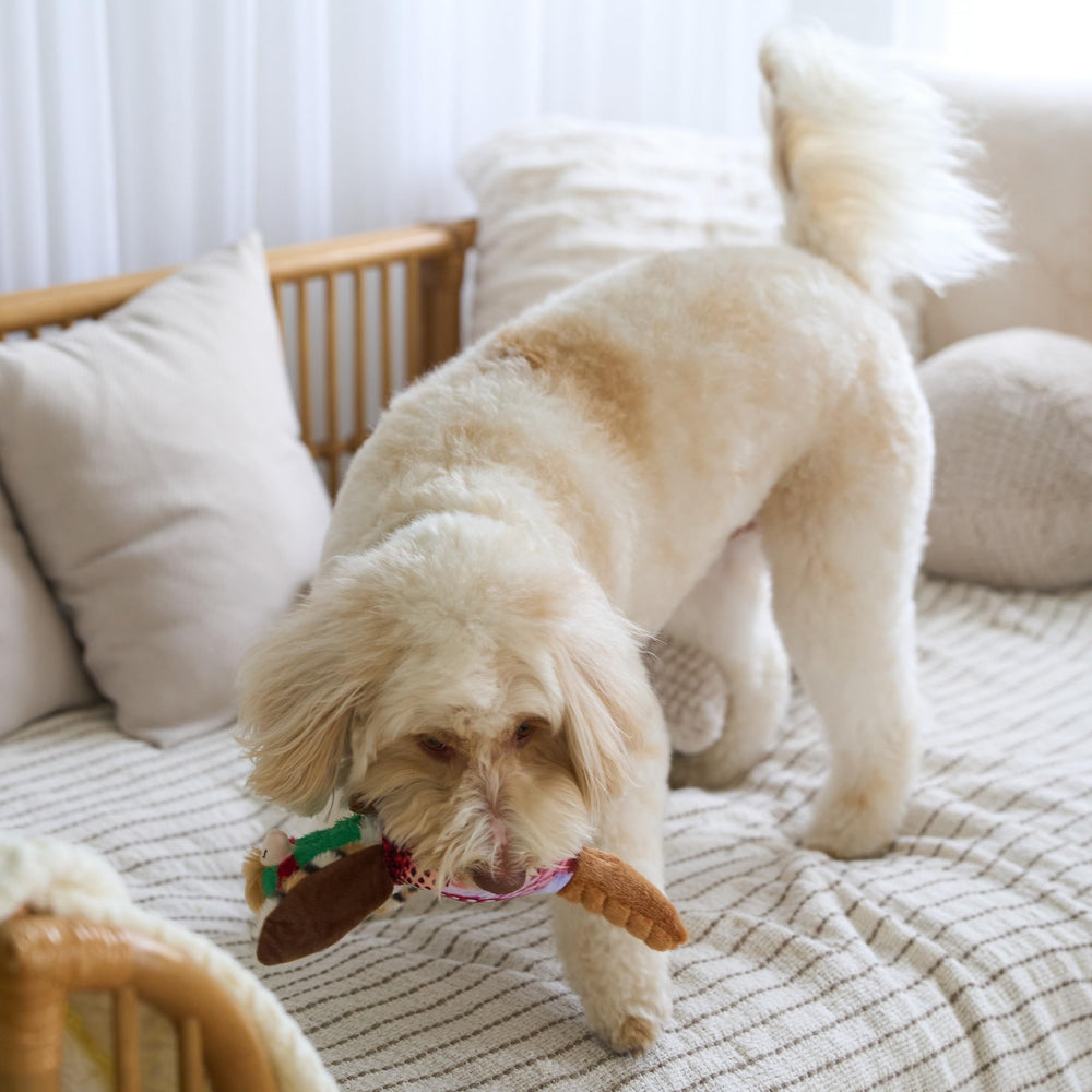 SPOT Bird Calls plush dog toy, 12-inch size suitable for dogs of all sizes.