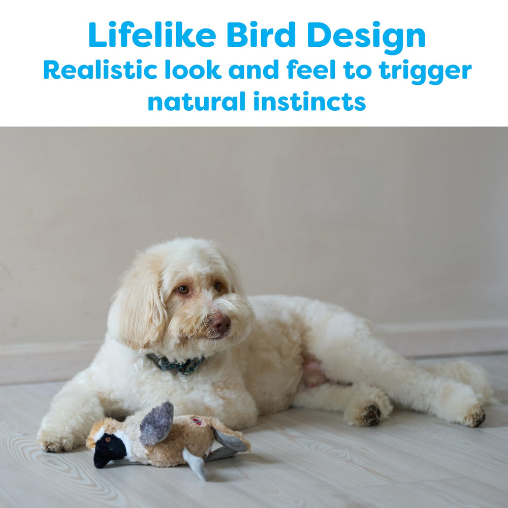 SPOT Bird Calls plush dog toy, close-up beak and detailing for realistic imitation.