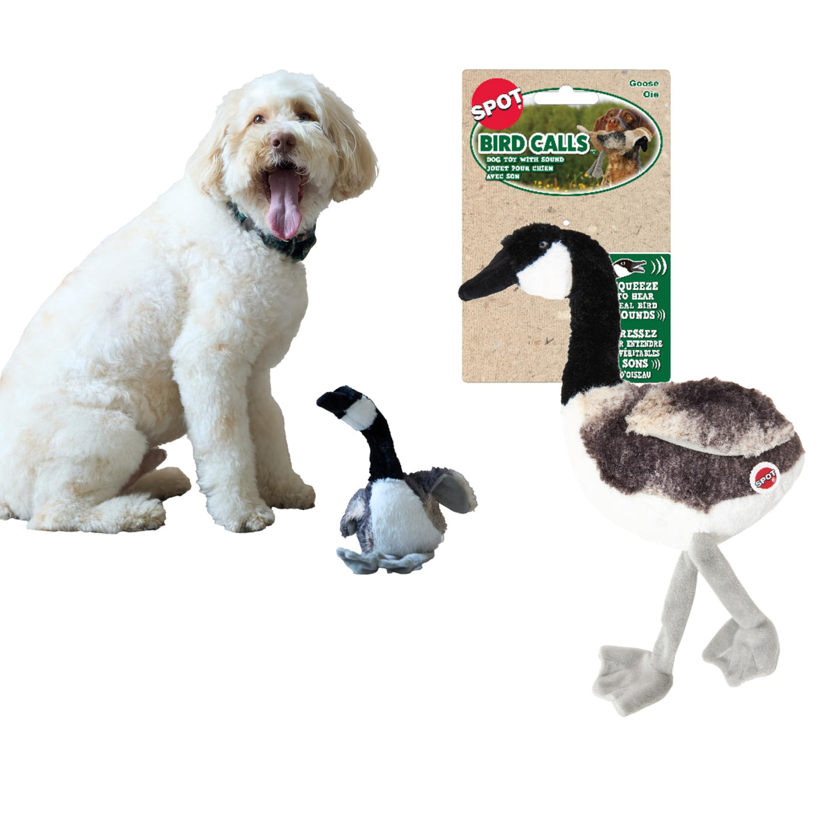SPOT Bird Calls plush dog toy, front view, lifelike texture for engaging indoor play.