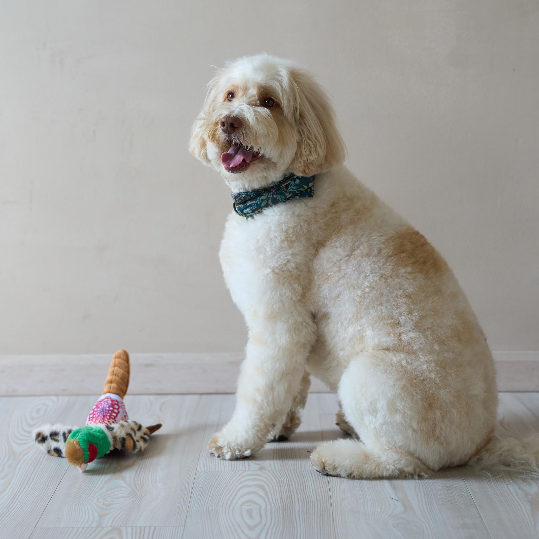 SPOT Bird Calls plush dog toy, in-use dog playing for fetch and indoor fun.