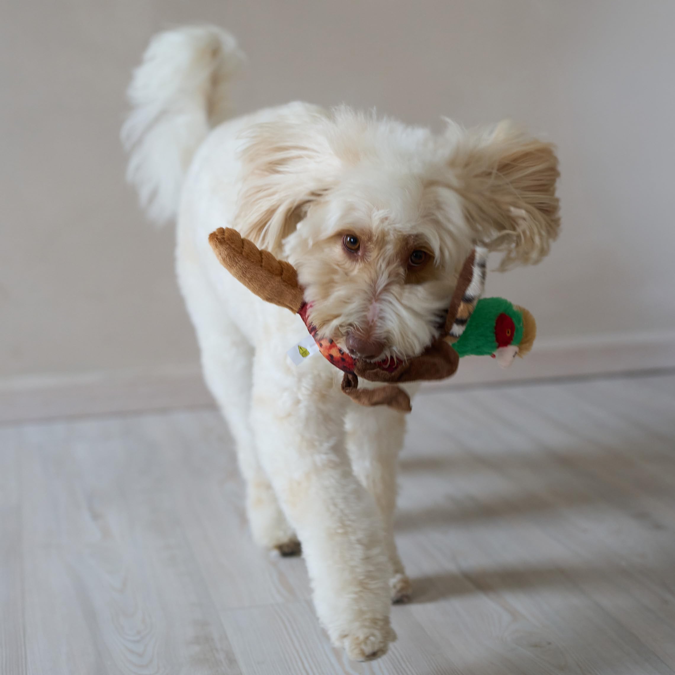 SPOT Bird Calls plush dog toy, plush texture supports gentle chewing and comfort.