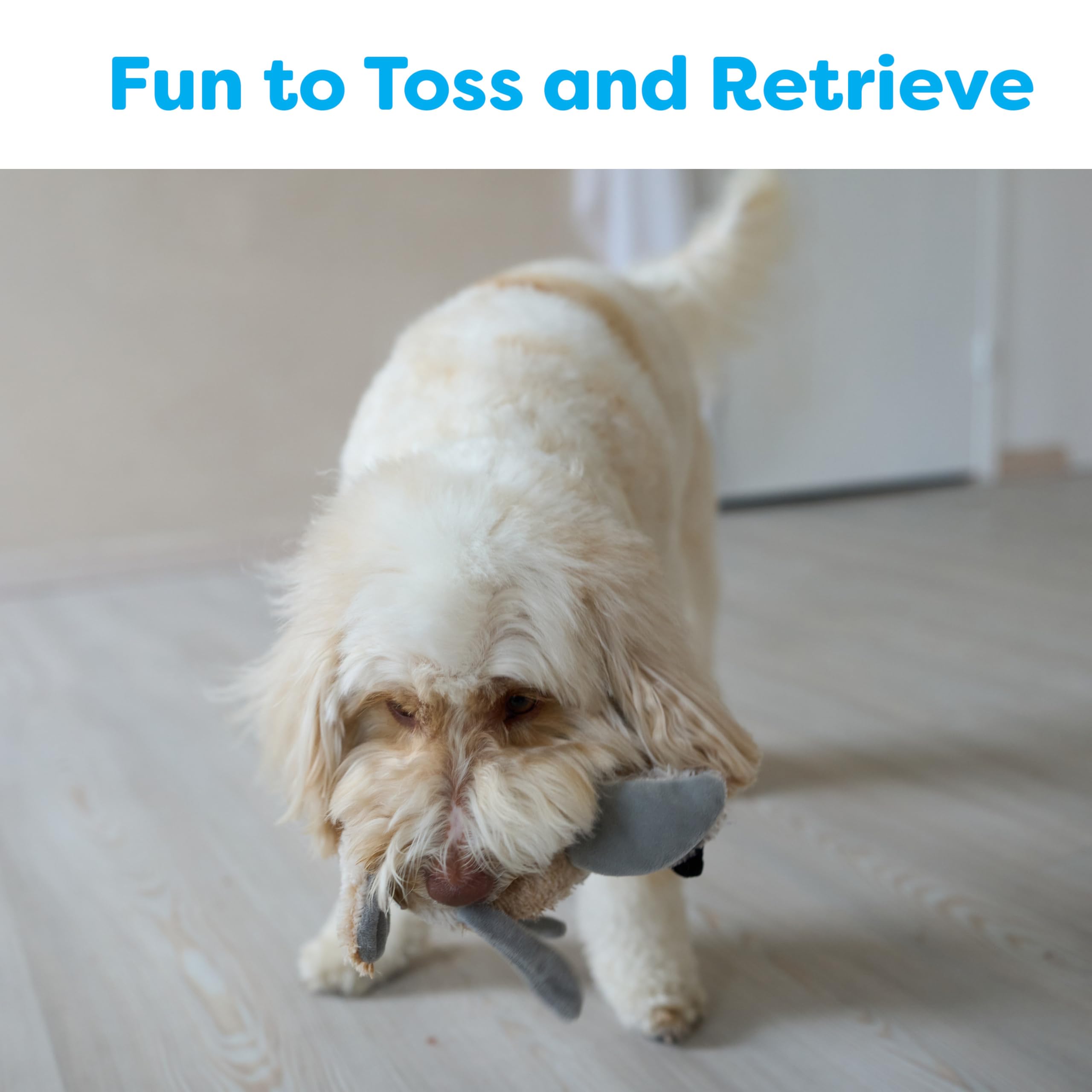 SPOT Bird Calls plush dog toy, sound chip emits bird calls during play.