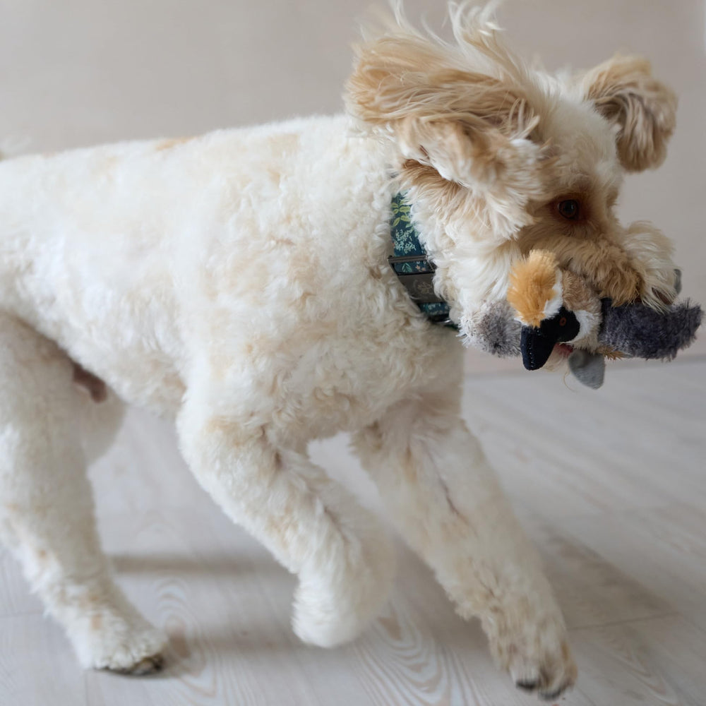 SPOT Bird Calls plush dog toy, stitching details for durable light-chewer.