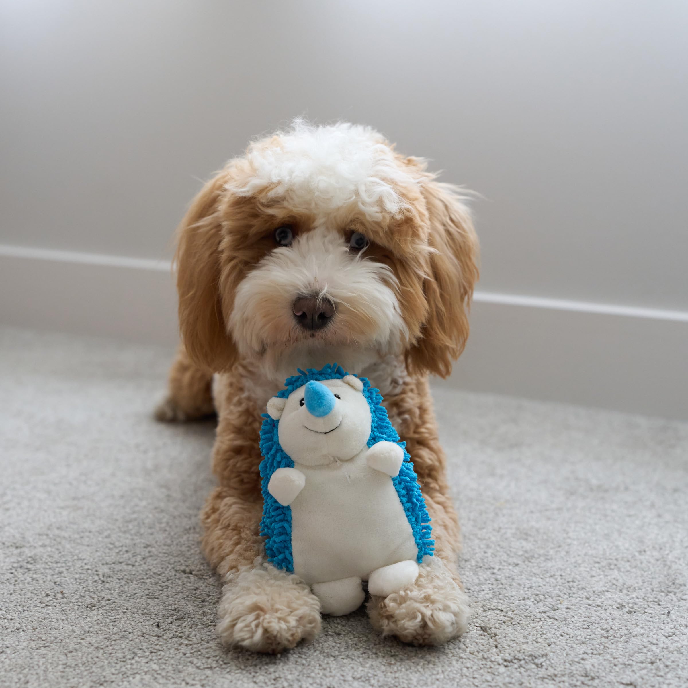 SPOT by Ethical Products supports durable, long-lasting plush play.