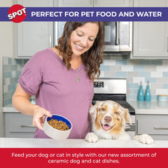 SPOT cat and dog bowl dual-use for food and water.
