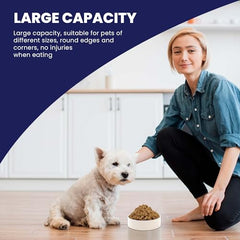 SPOT ceramic stoneware bowl with heavyweight design resists tipping during meals