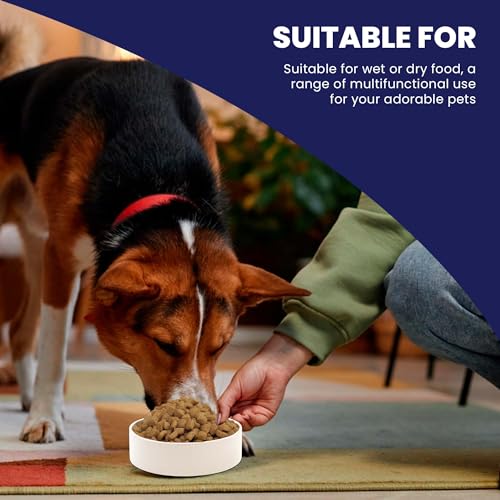 SPOT ceramic stoneware bowl with non-slip base prevents spills on floors