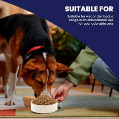 SPOT ceramic stoneware bowl with non-slip base prevents spills on floors