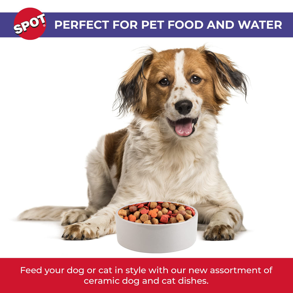 SPOT seven-point-five-inch diameter bowl ideal for medium and large dogs