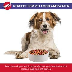 SPOT seven-point-five-inch diameter bowl ideal for medium and large dogs