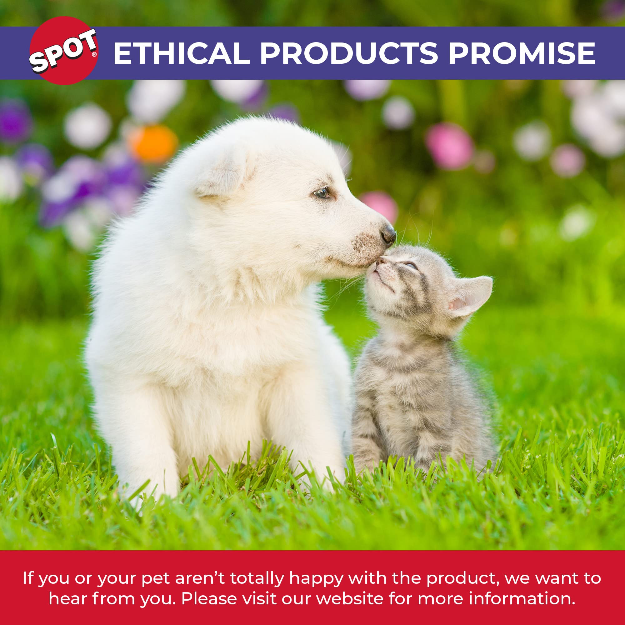 SPOT 5-inch bowl ideal for everyday cat meals and water