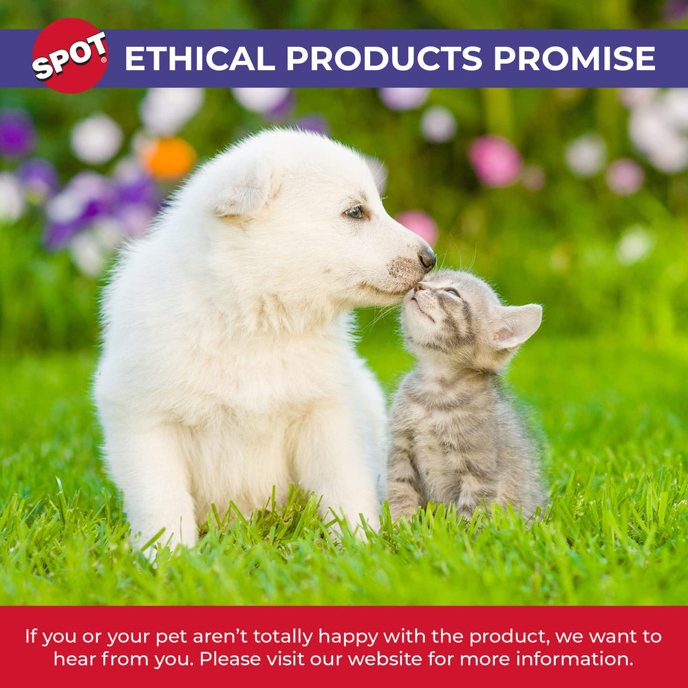 SPOT 5-inch bowl ideal for everyday cat meals and water