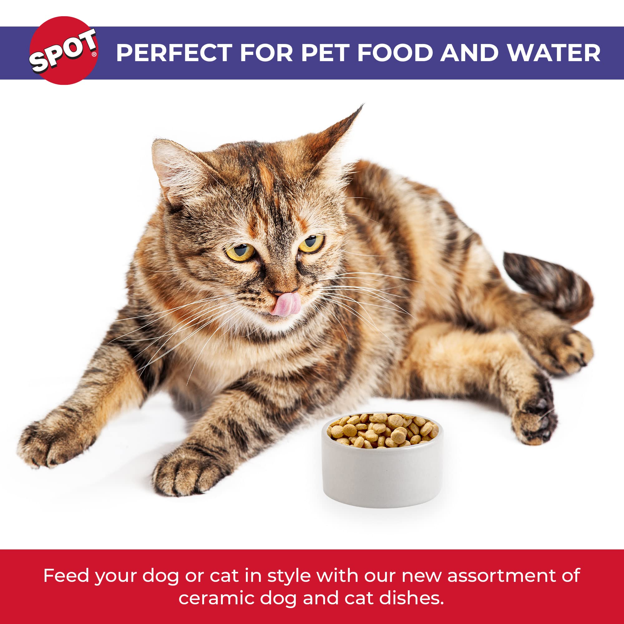 SPOT ceramic stoneware pet bowl is dishwasher-safe for easy cleanup