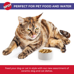 SPOT ceramic stoneware pet bowl is dishwasher-safe for easy cleanup