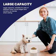 SPOT ceramic stoneware pet bowl with non-slip base reduces tipping