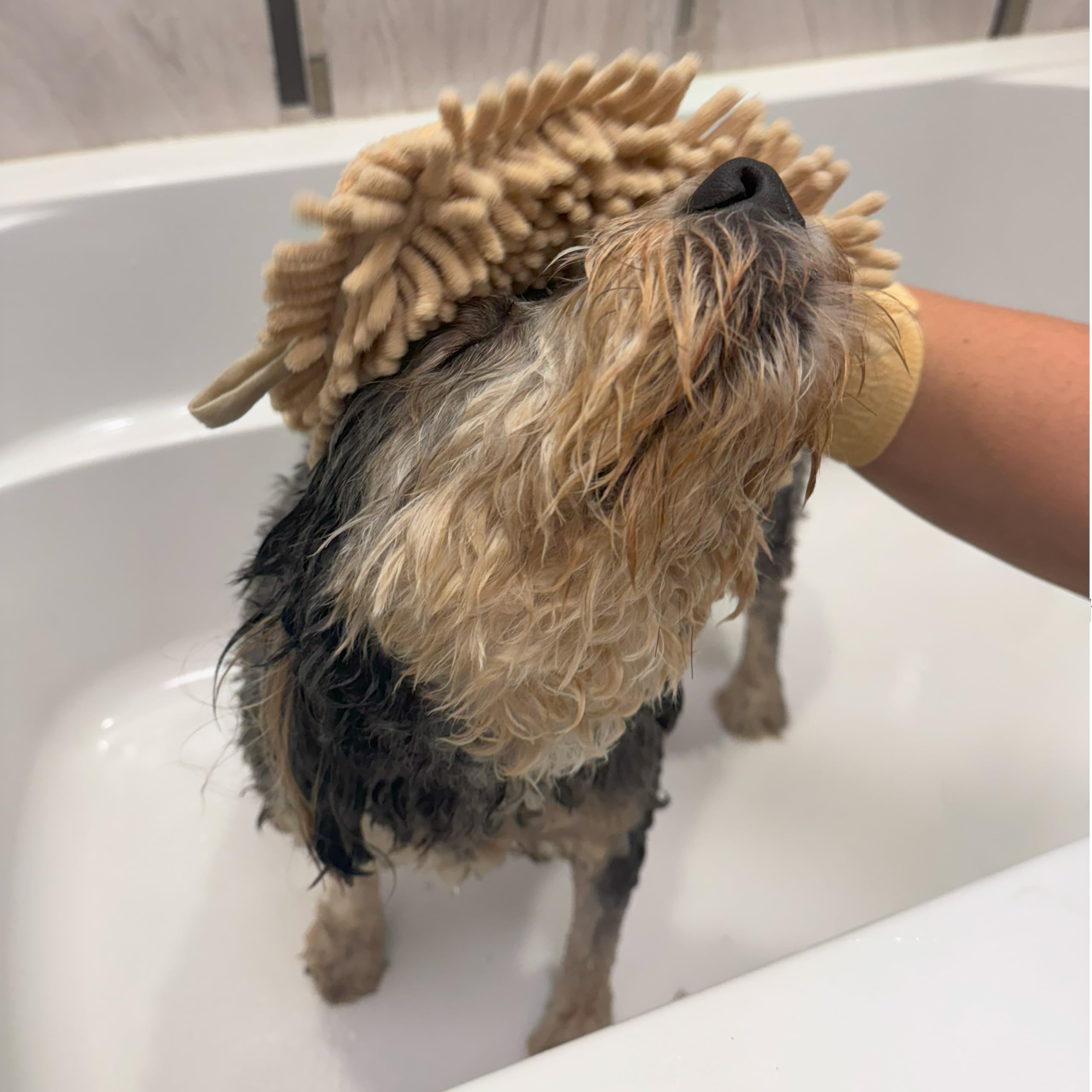 SPOT Clean Paws mitt durable materials withstand frequent washing.