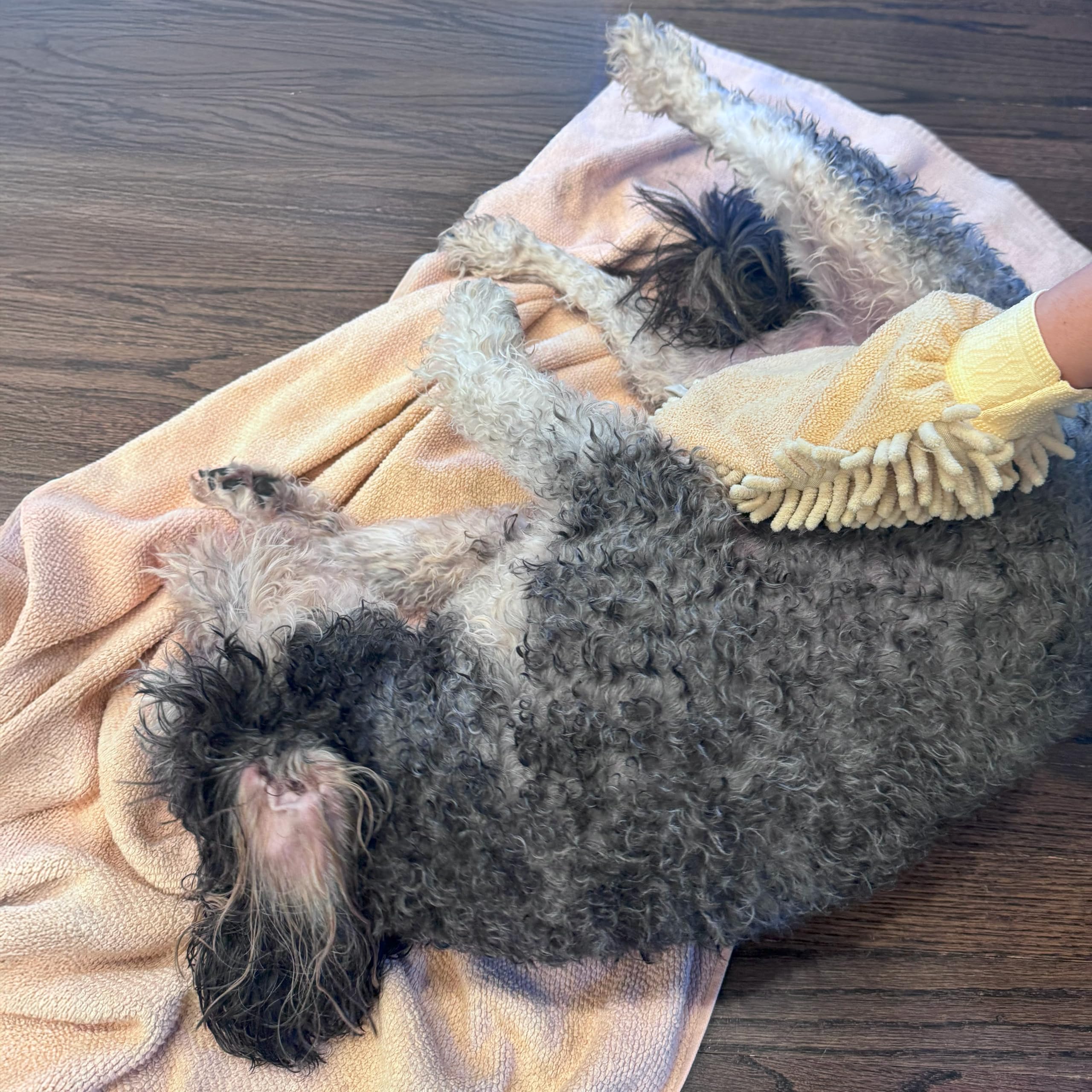 SPOT Clean Paws mitt hanging loop for quick access near door.