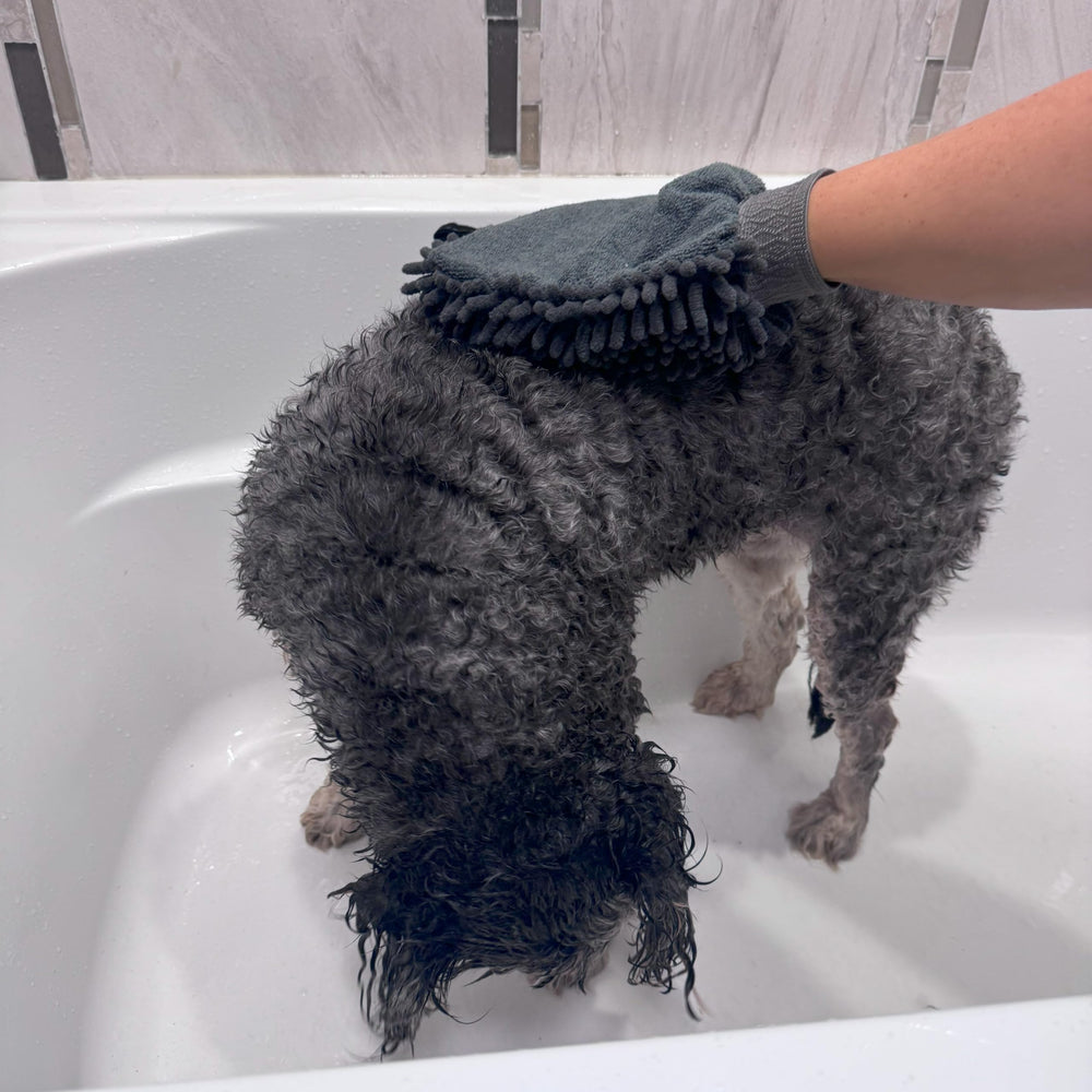 SPOT Clean Paws mitt drying quickly after a muddy walk.