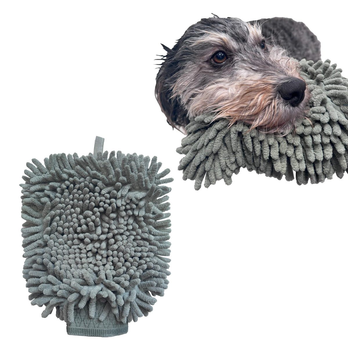 SPOT Clean Paws mitt on wet paws showing rapid absorption.