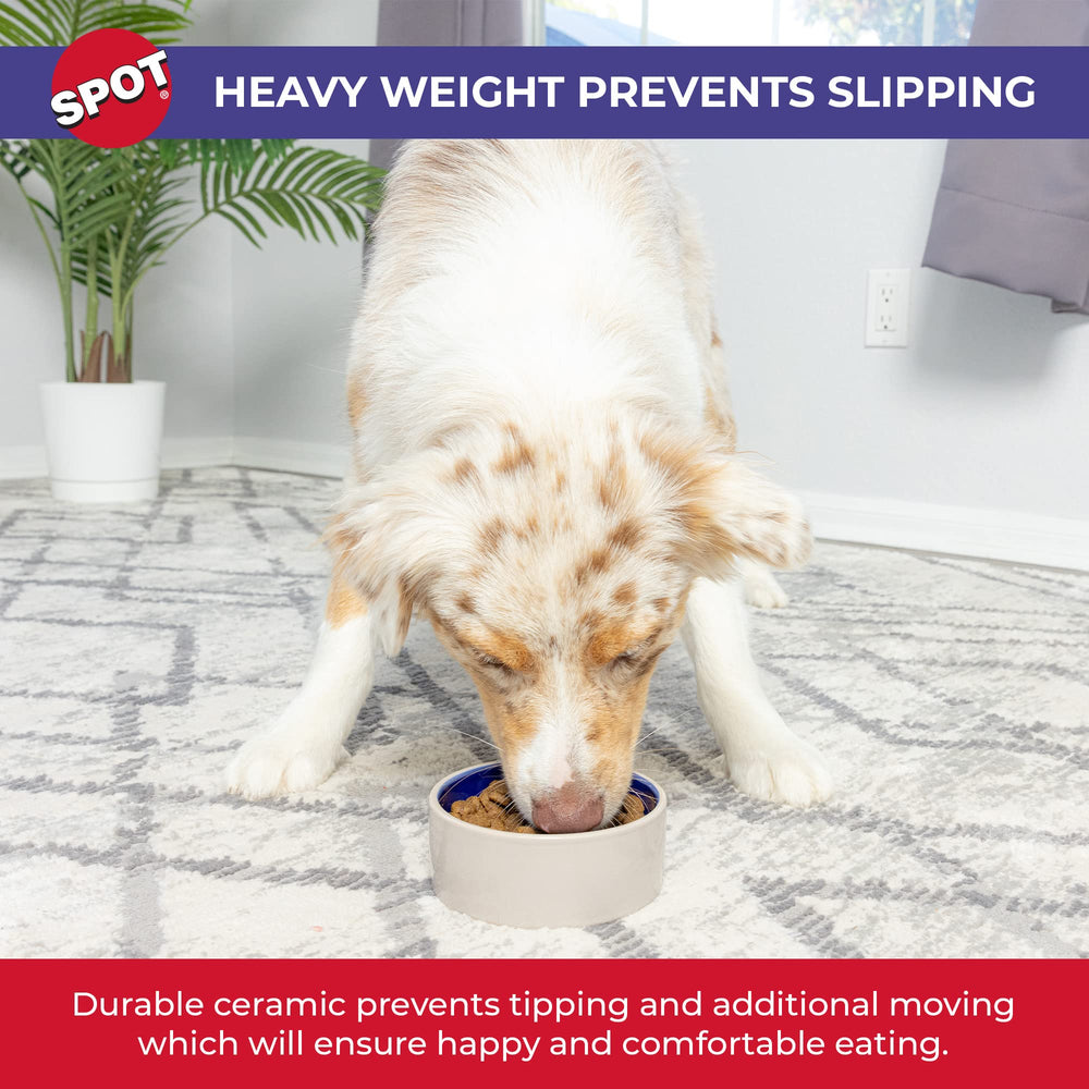 SPOT glossy ceramic bowl showcases durable glaze and easy maintenance.