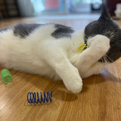 SPOT blue bounce spring toy capturing attention during play.