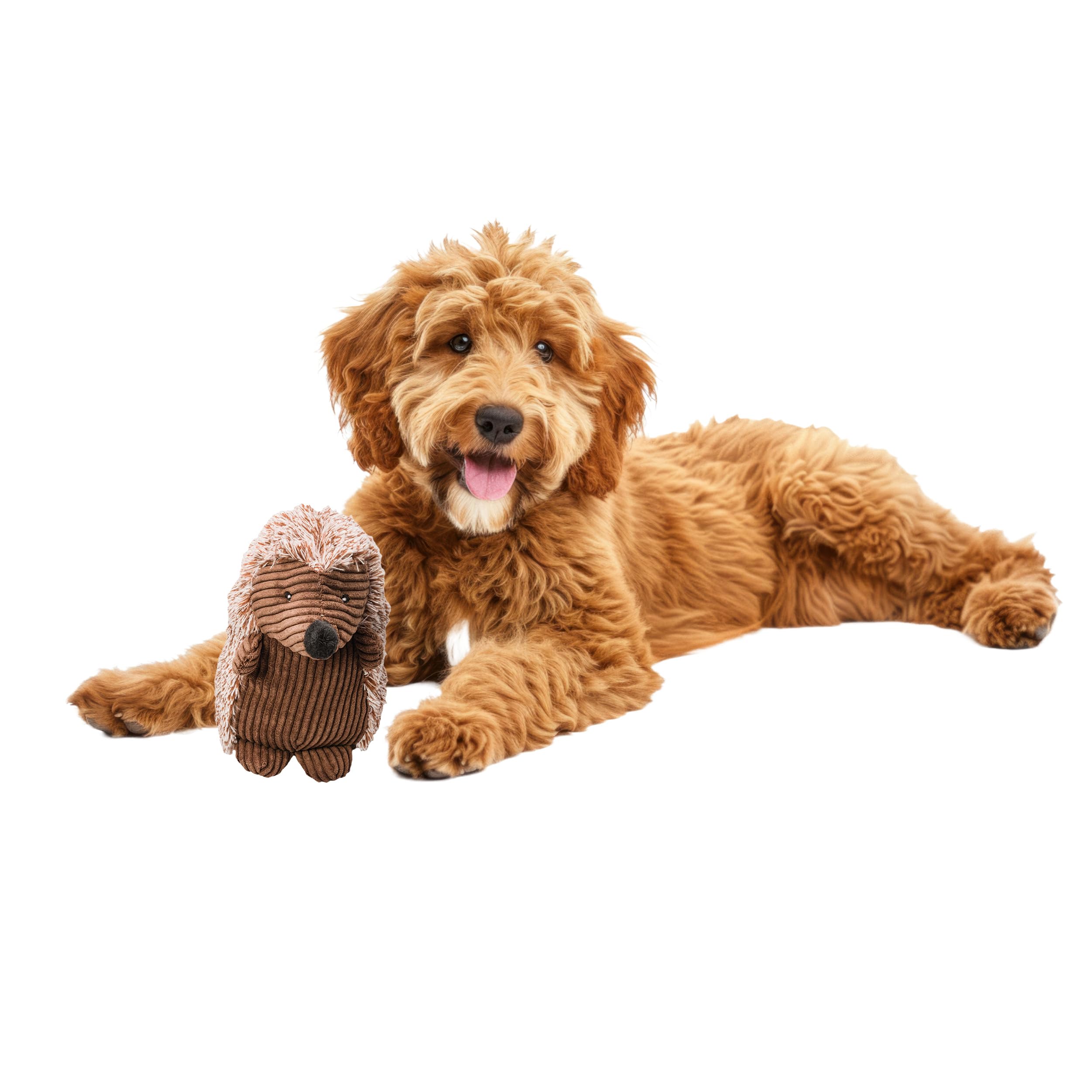 SPOT Corduroy Hedgehog toy, front view, soft plush for gentle play and cuddles.