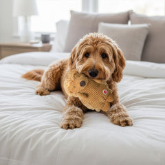 SPOT Corduroy Hedgehog texture closeup, fuzzy surface for tactile engagement.