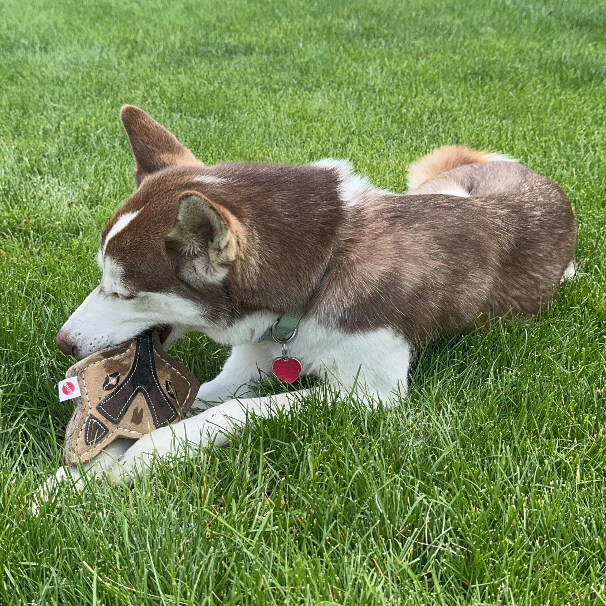 SPOT Dura-Fused Chunkies Fox play scene; easy-to-grab fox shape in action