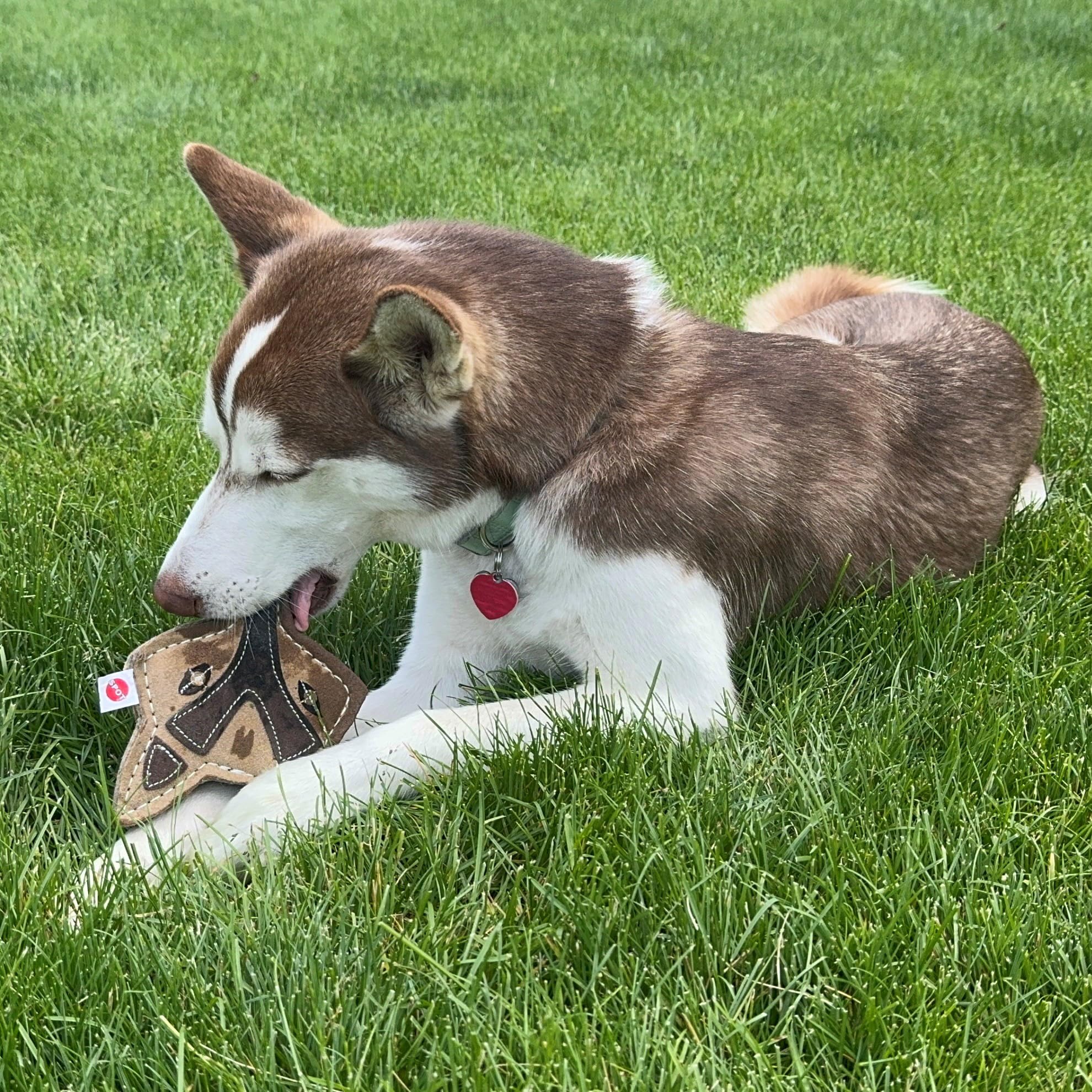 SPOT Dura-Fused Chunkies Fox leather and wool felt materials close-up