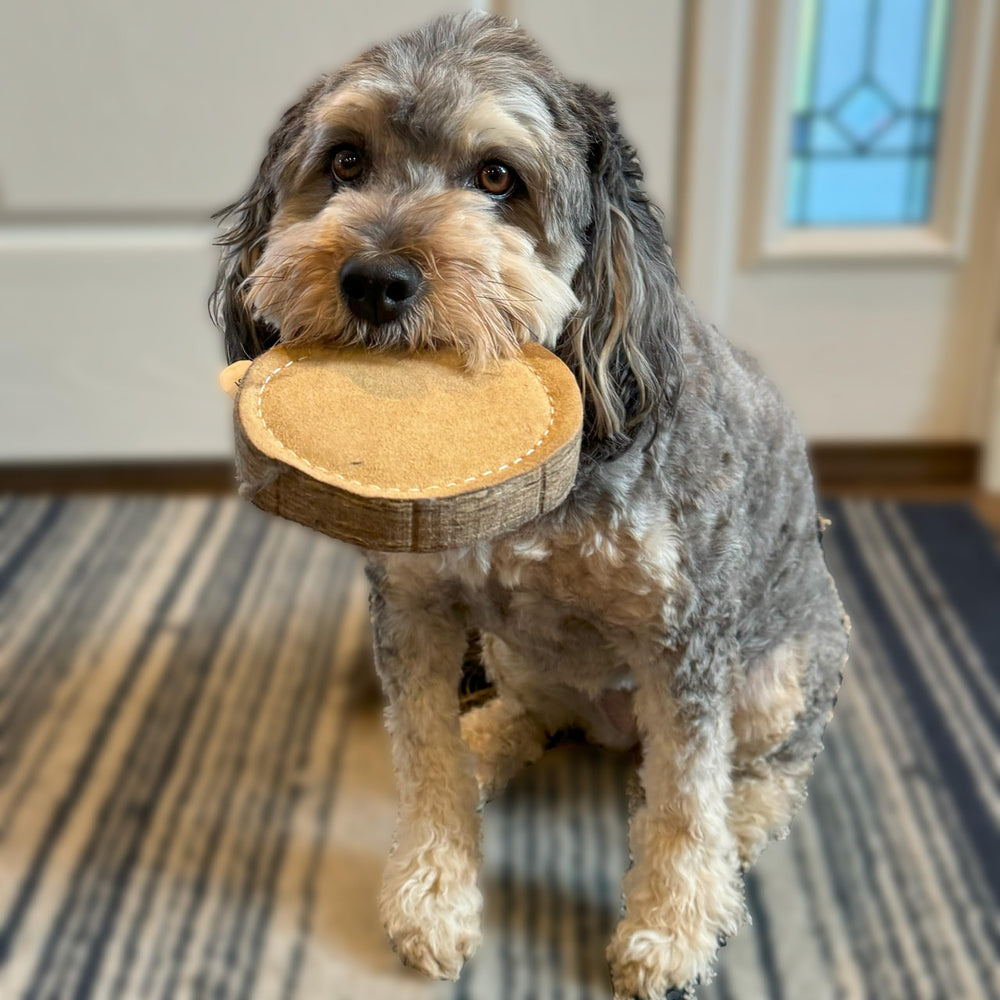 SPOT Dura-Fused Chunkies Raccoon in-use packaging shows no-squeak, no-fluff design