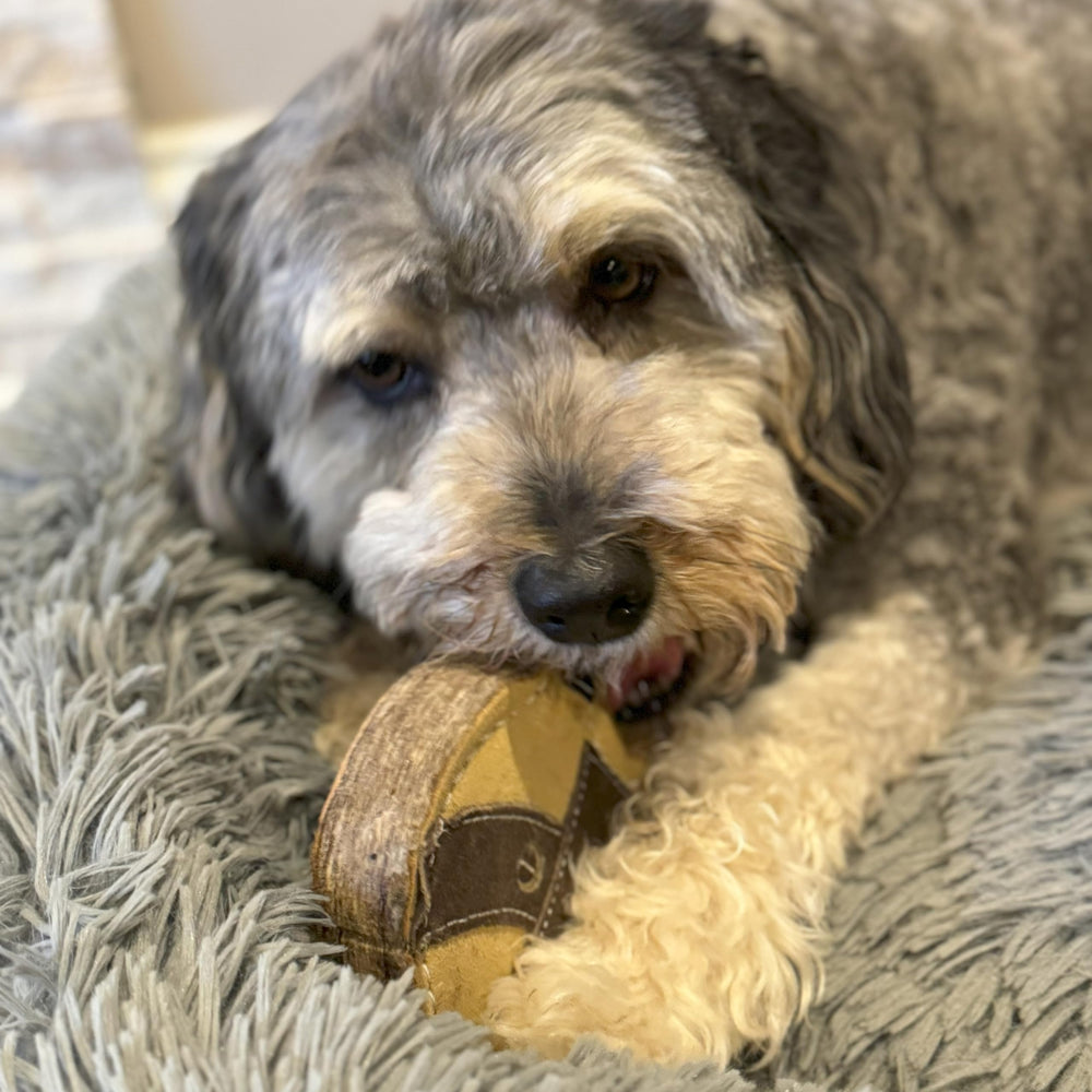 SPOT Dura-Fused Chunkies Raccoon puppy-teething scene highlights safe, satisfying chew