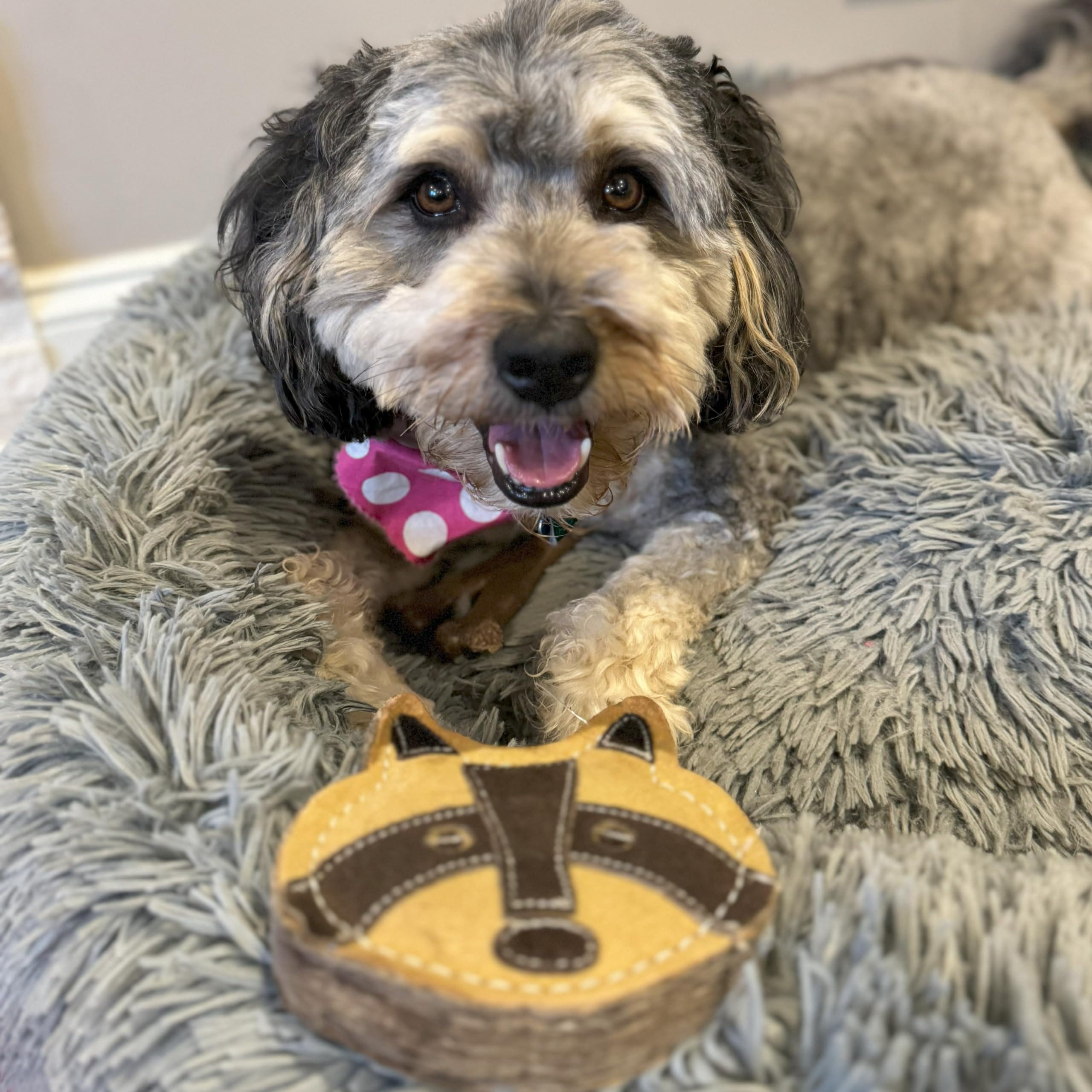 SPOT Dura-Fused Chunkies Raccoon stitching detail reveals heavy-duty thread durability