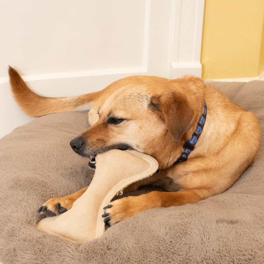 SPOT Dura-Fused Leather Bone toy suited for medium to large dogs during games