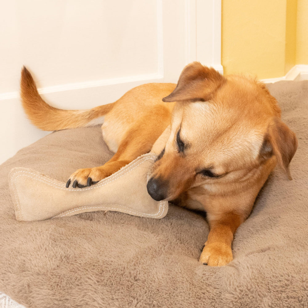 SPOT Dura-Fused Leather Bone toy made from non toxic components for safety