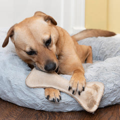 SPOT Dura-Fused Leather Bone toy soft stuffed design for comfortable chewing