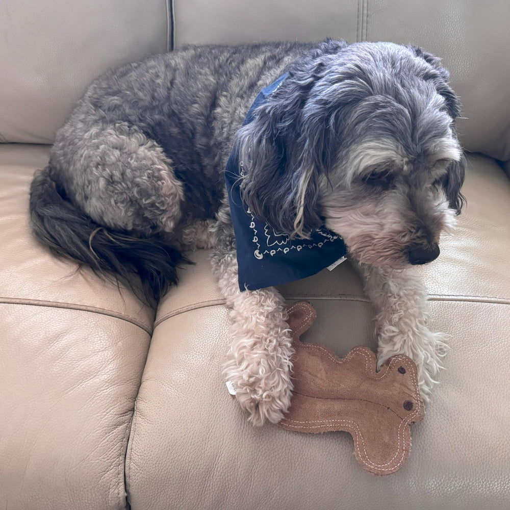 SPOT Dura-Fused Leather Squirrel Toy eco-friendly materials reflect ethical sourcing