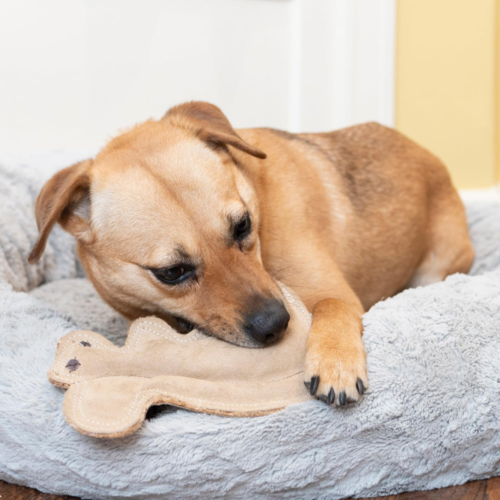 SPOT Dura-Fused Leather Squirrel Toy in mid-fetch proves easy-to-throw lightweight design