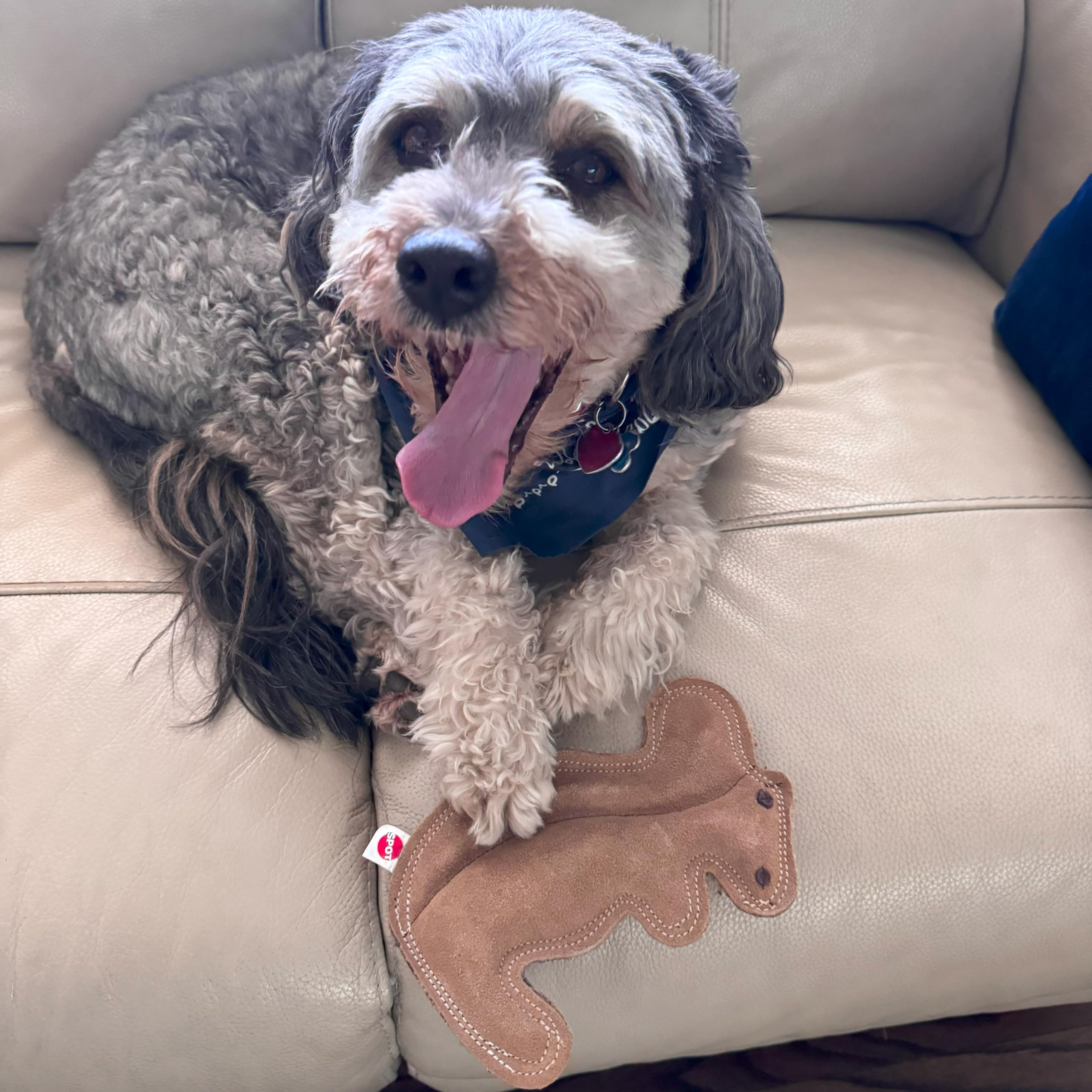 SPOT Dura-Fused Leather Squirrel Toy soft-stuffed interior offers gentle chew sessions