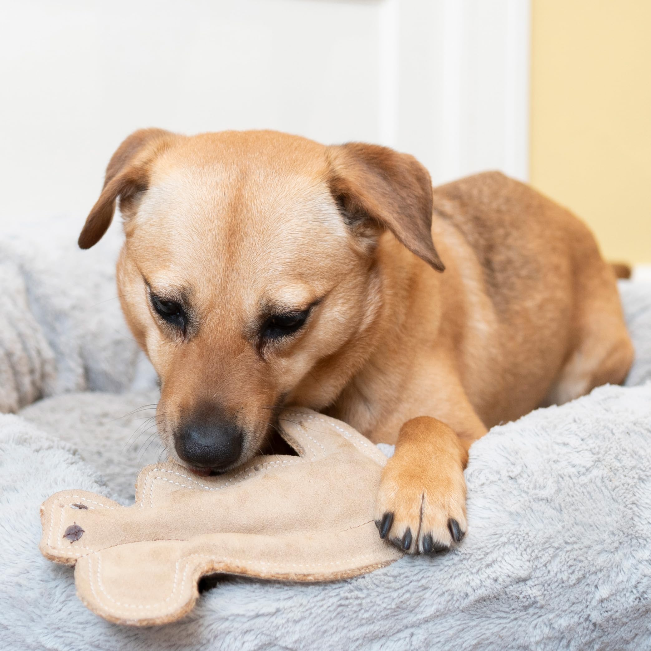 SPOT Dura-Fused Leather Squirrel Toy squeaker view demonstrates built-in sound for interactive play