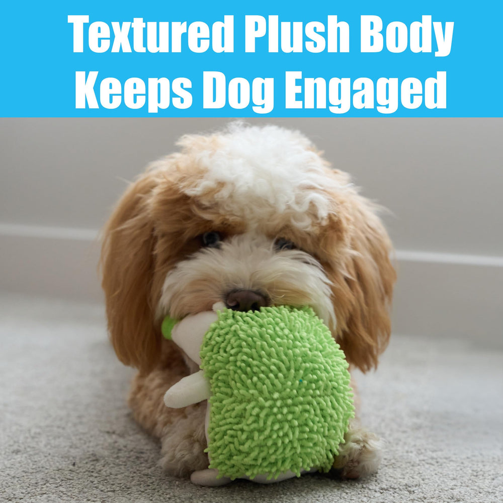 SPOT Hedgehog with assorted colors sparks visual interest during play.