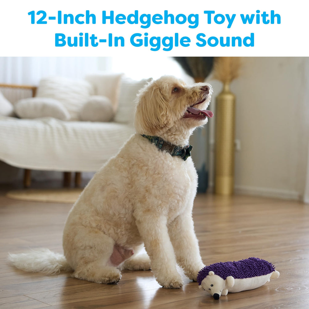 SPOT Gigglers Hedgehog 12-inch size in-action for indoor fetch and chew