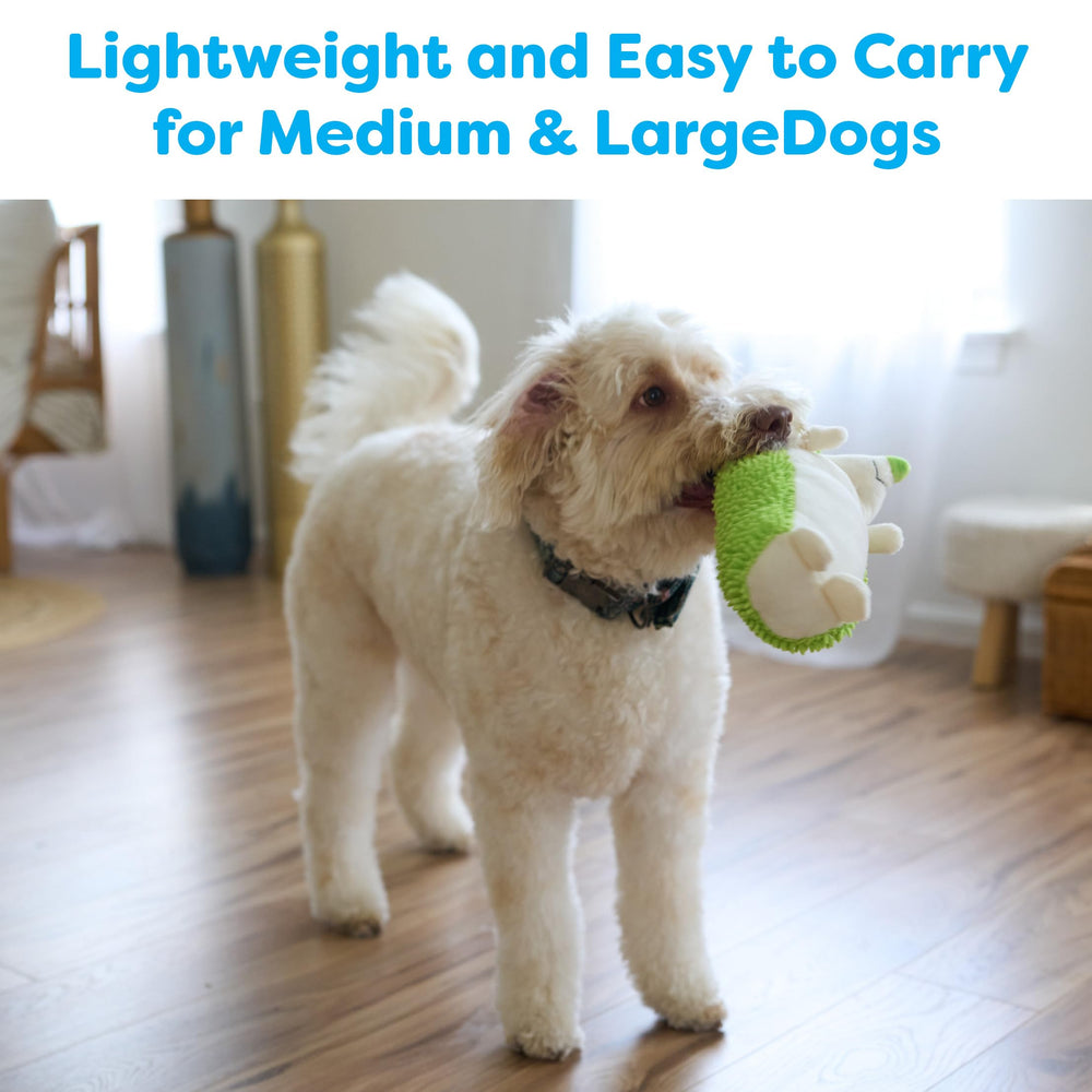 SPOT Gigglers Hedgehog in three bright color options to spark curiosity