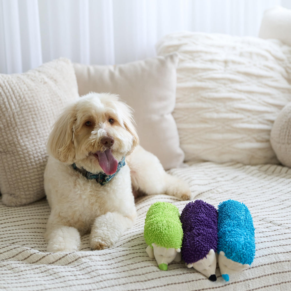 SPOT Gigglers Hedgehog plush toy provides ongoing engagement through playful texture