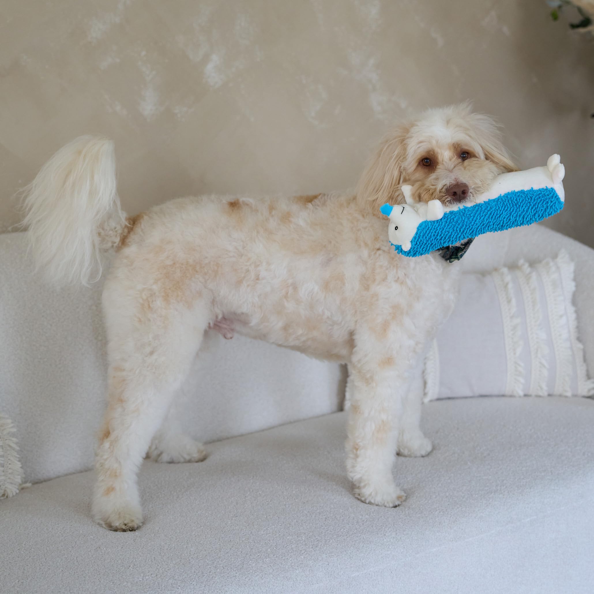 SPOT Gigglers Hedgehog supports solo play and bonding time with you