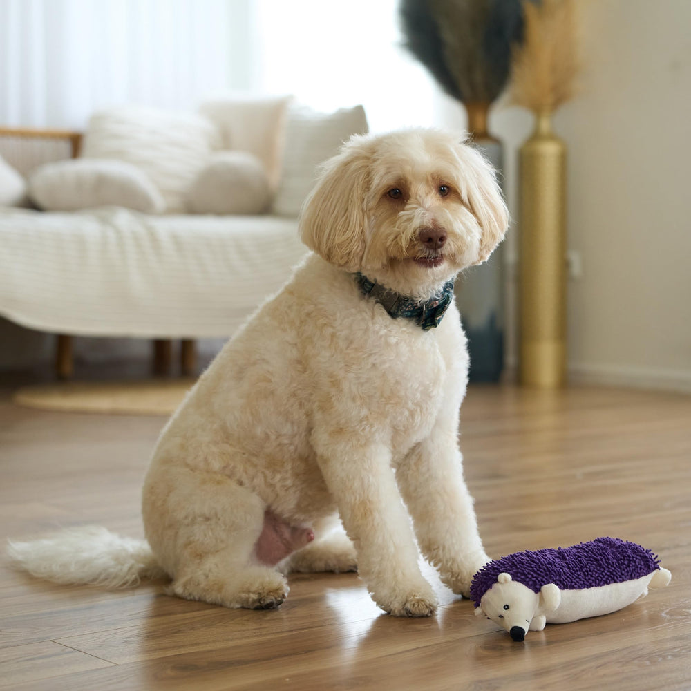 SPOT Gigglers Hedgehog suited for gentle tug and interactive companionship