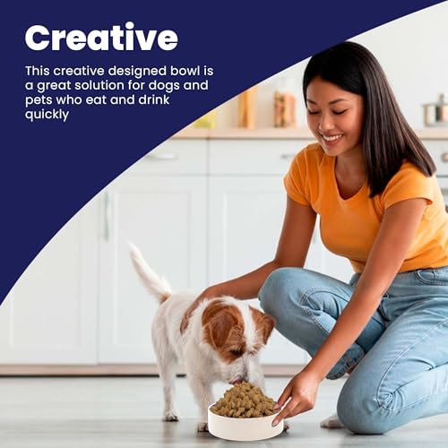 SPOT heavyweight stoneware non-slip base lends stable dining for pets.