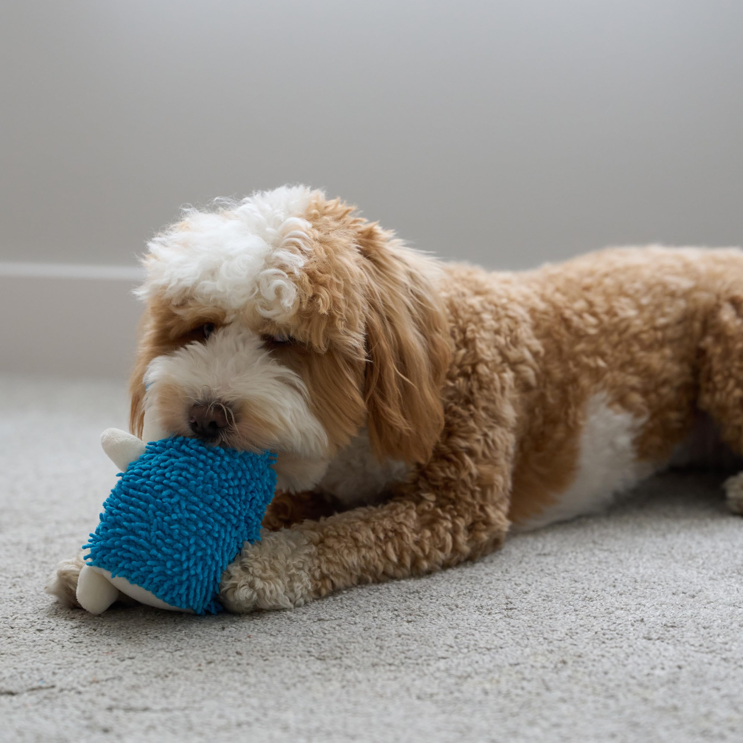 SPOT hedgehog toy fosters interactive bonding between pet and owner.