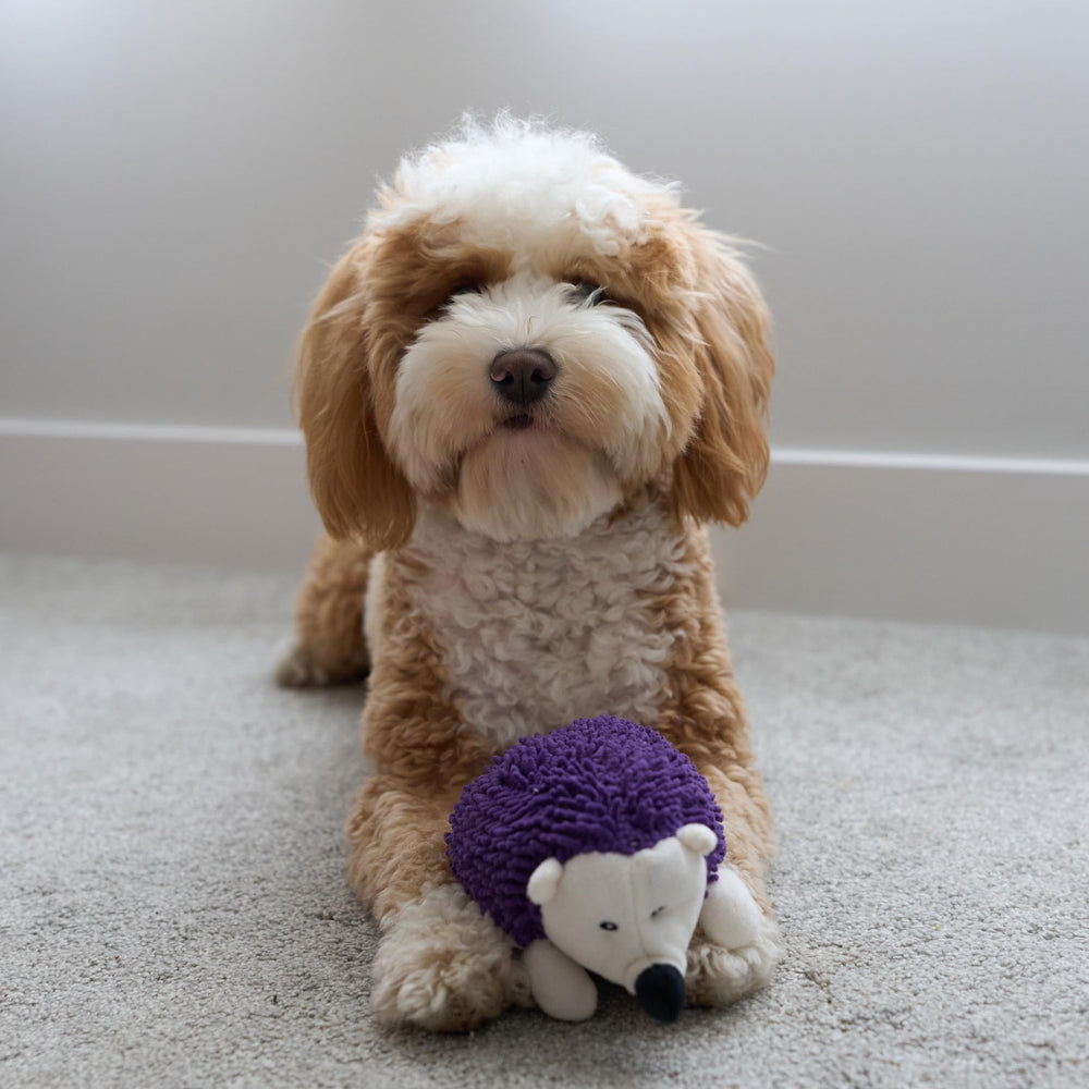 SPOT emphasizes safe materials for worry-free chewing and cuddling.
